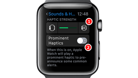Hướng dẫn điều chỉnh cảm biến haptic trên Apple Watch hình 2